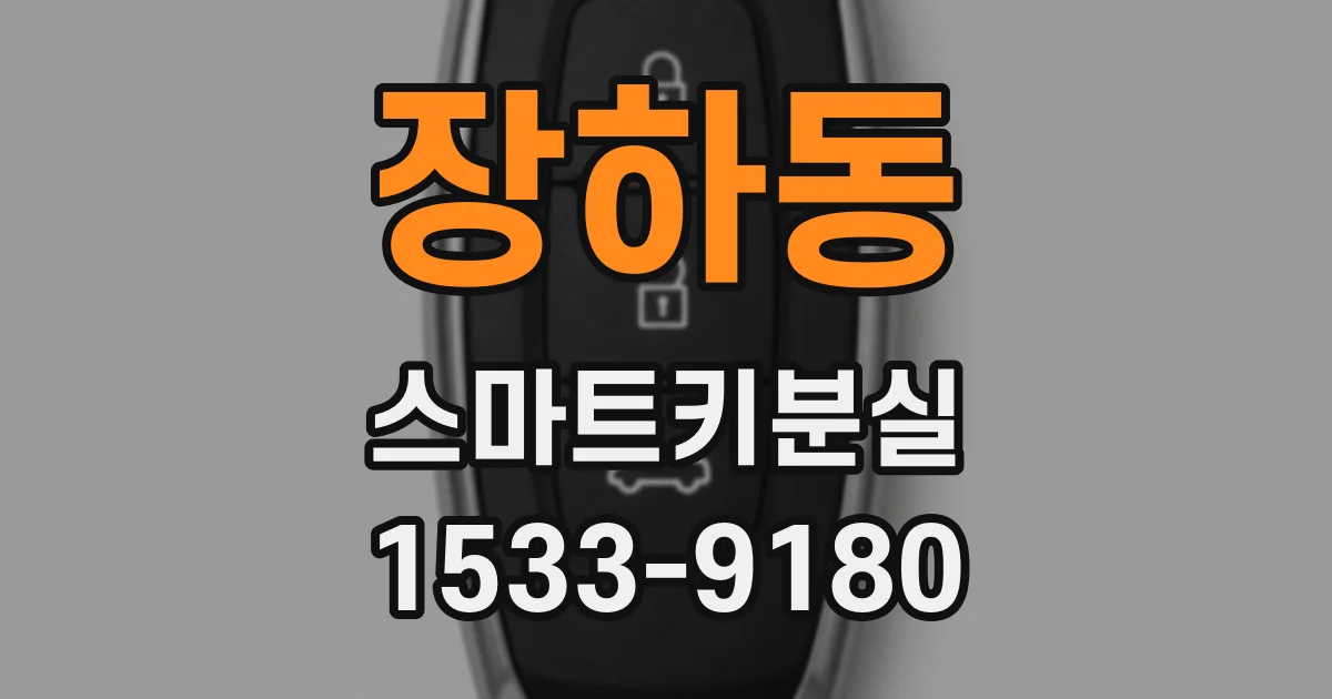 장하동 스마트키분실