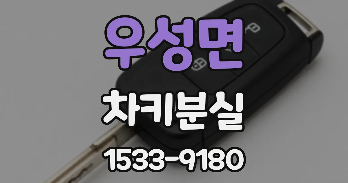 우성면 차키분실