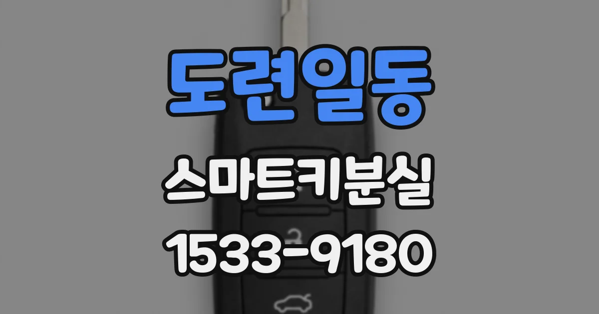 도련일동 스마트키분실