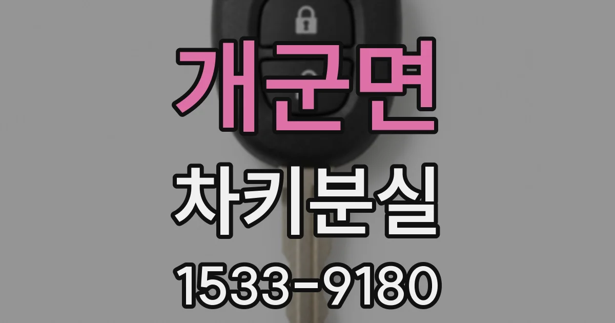 개군면 차키분실
