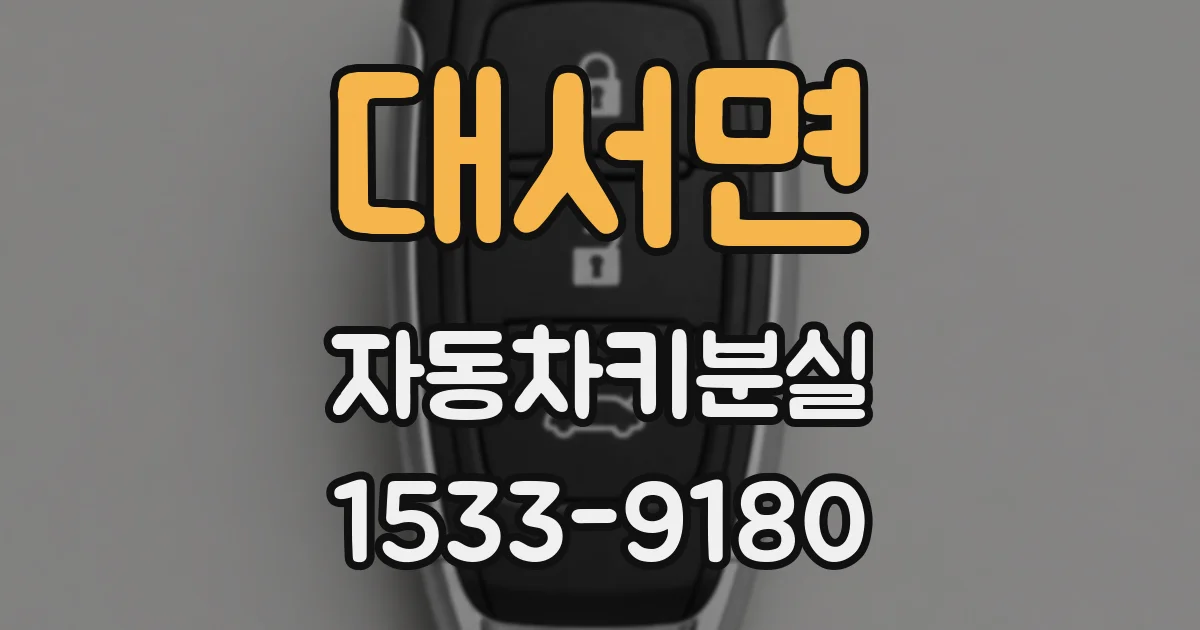 대서면 자동차키분실