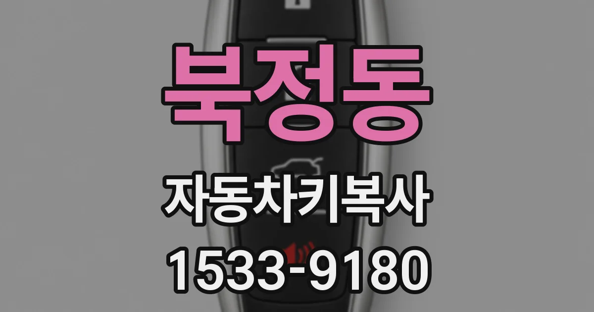 북정동 자동차키복사