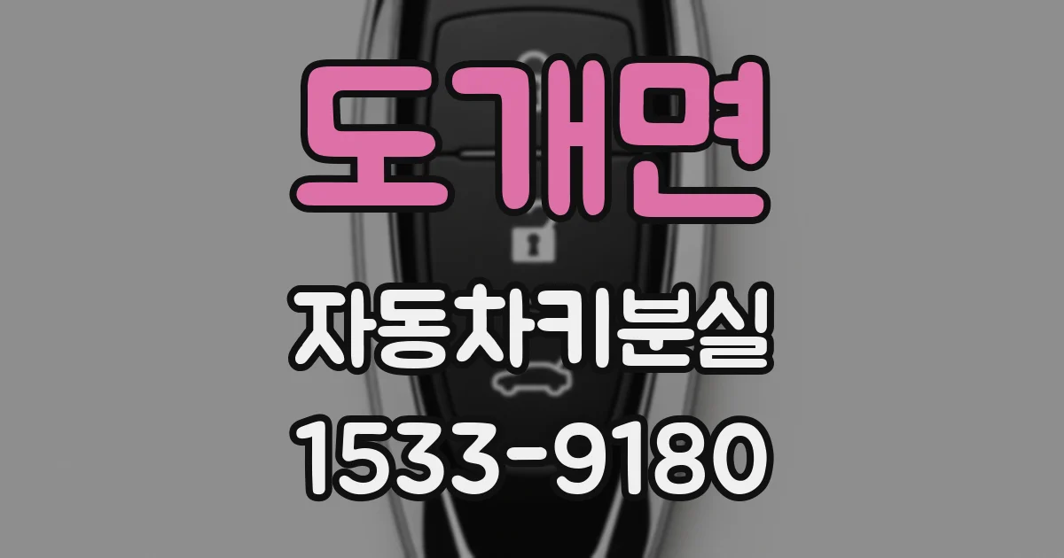 도개면 자동차키분실