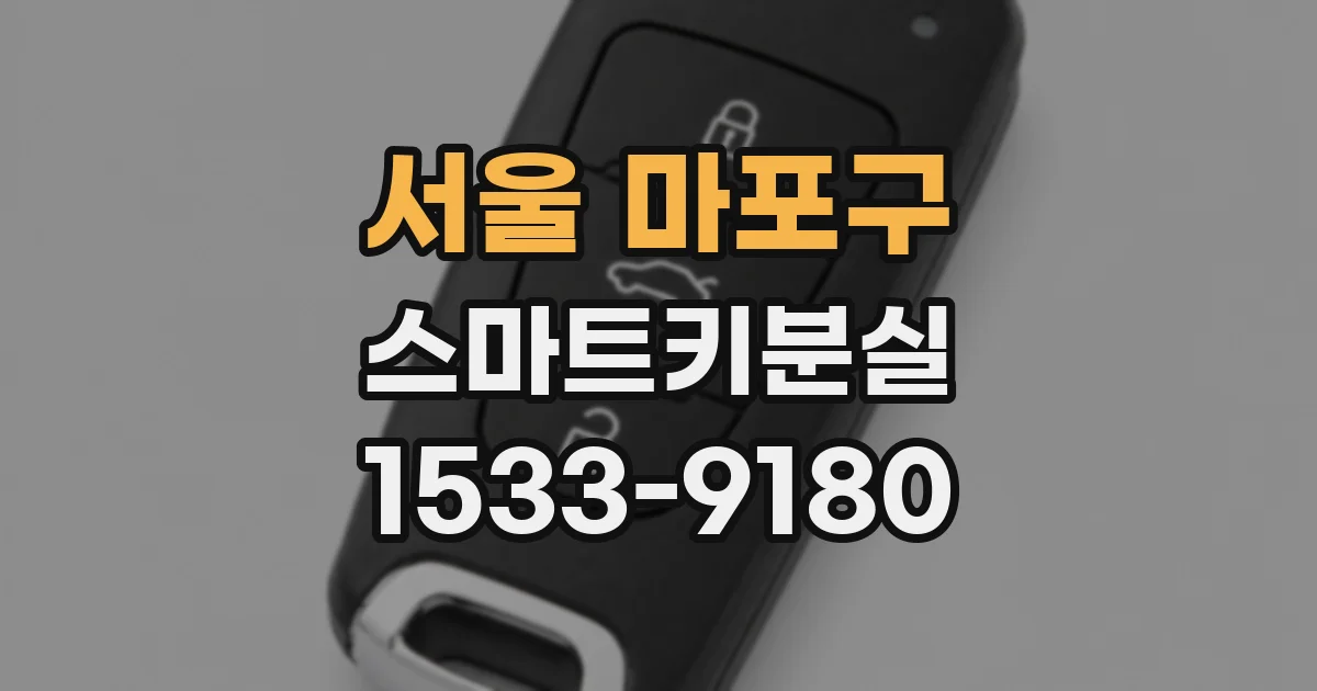 서울 마포구 스마트키분실