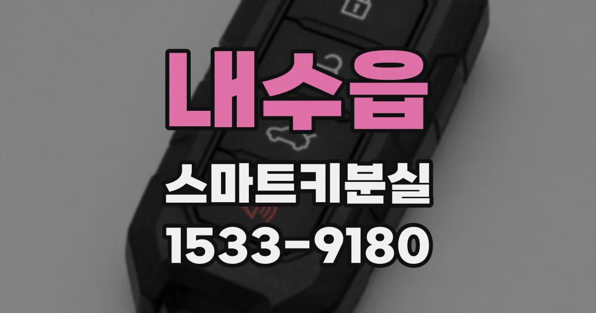 내수읍 스마트키분실