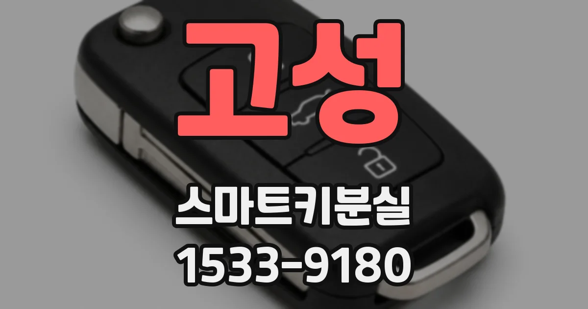 고성 스마트키분실