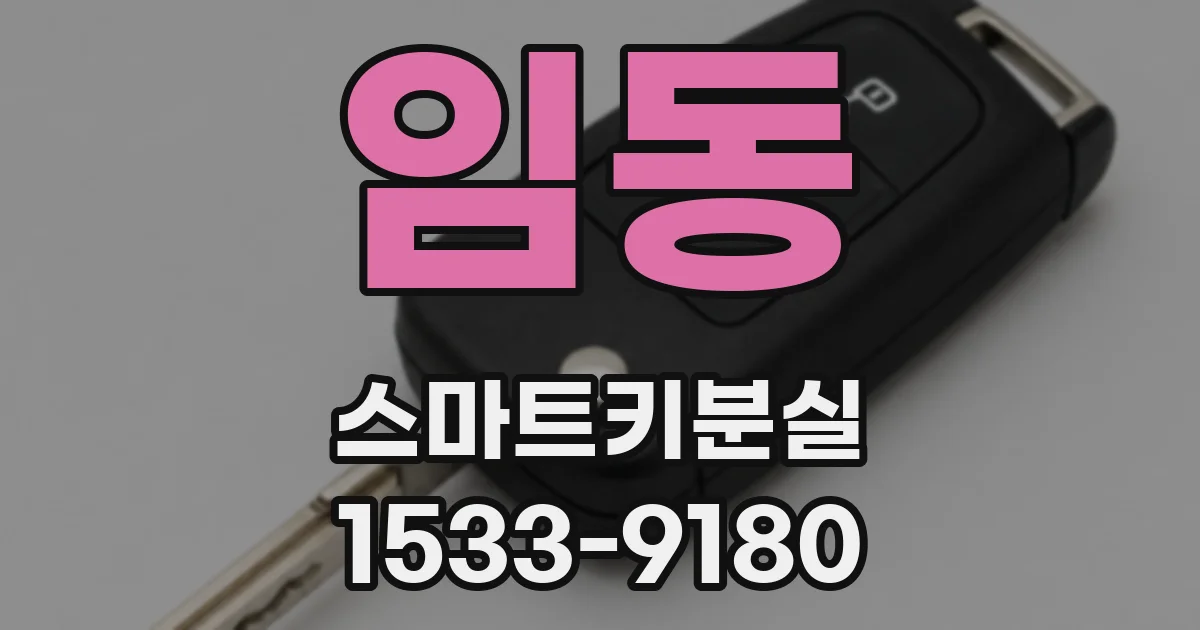 임동 스마트키분실