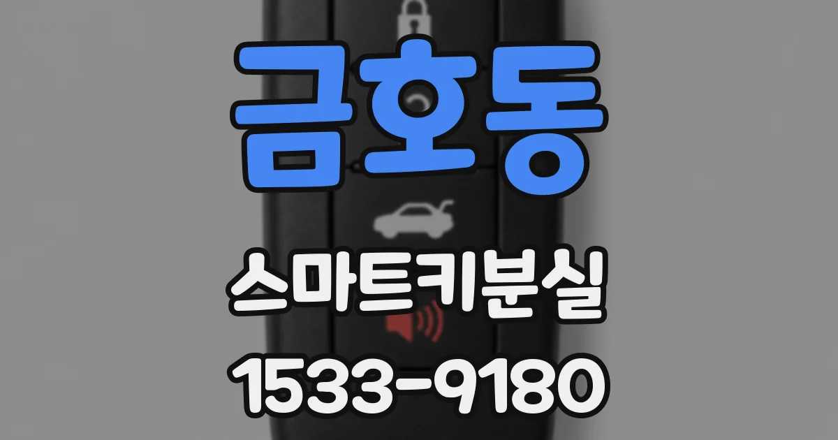 금호동 스마트키분실