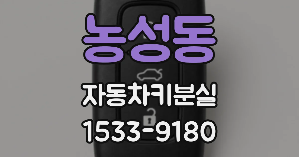 농성동 자동차키분실