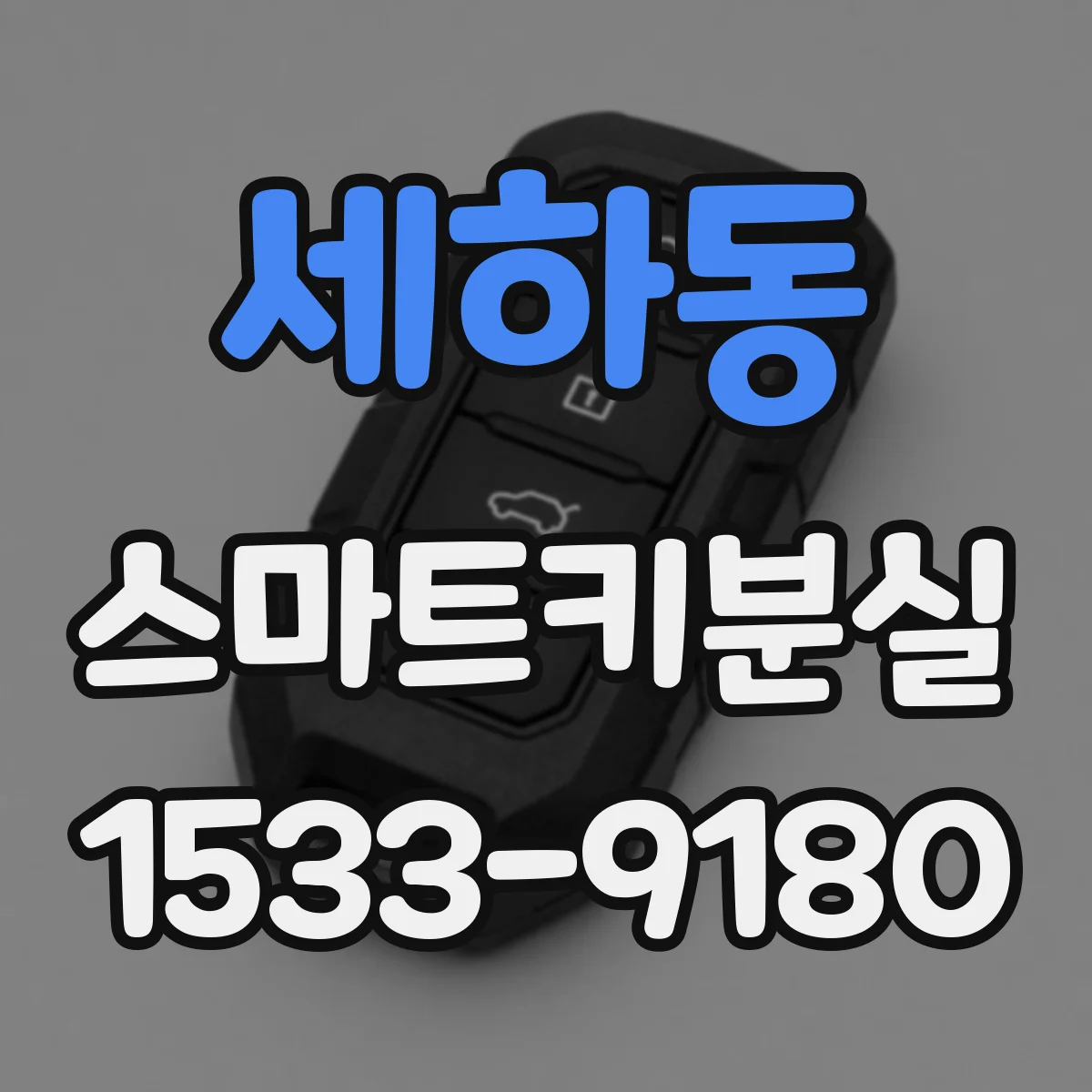 세하동 스마트키분실