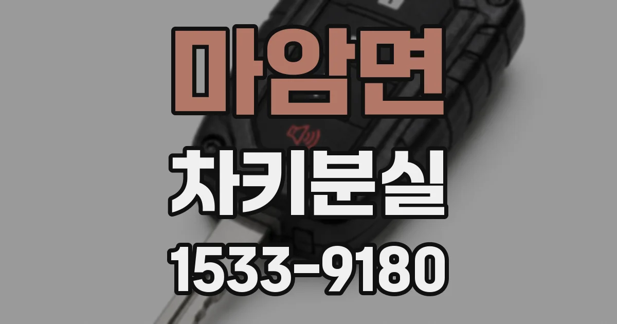 마암면 차키분실