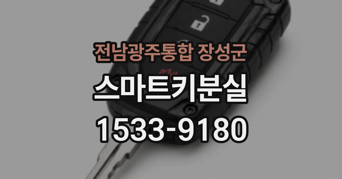 전남광주통합 장성군 스마트키분실