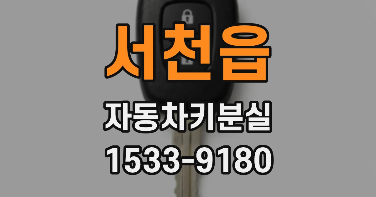 서천읍 자동차키분실