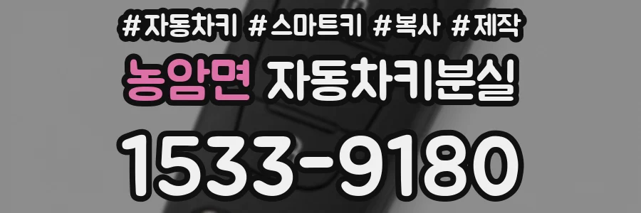 농암면 자동차키분실