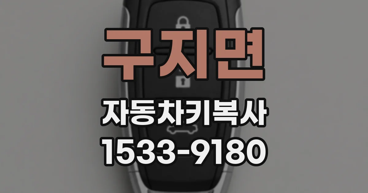 구지면 자동차키복사