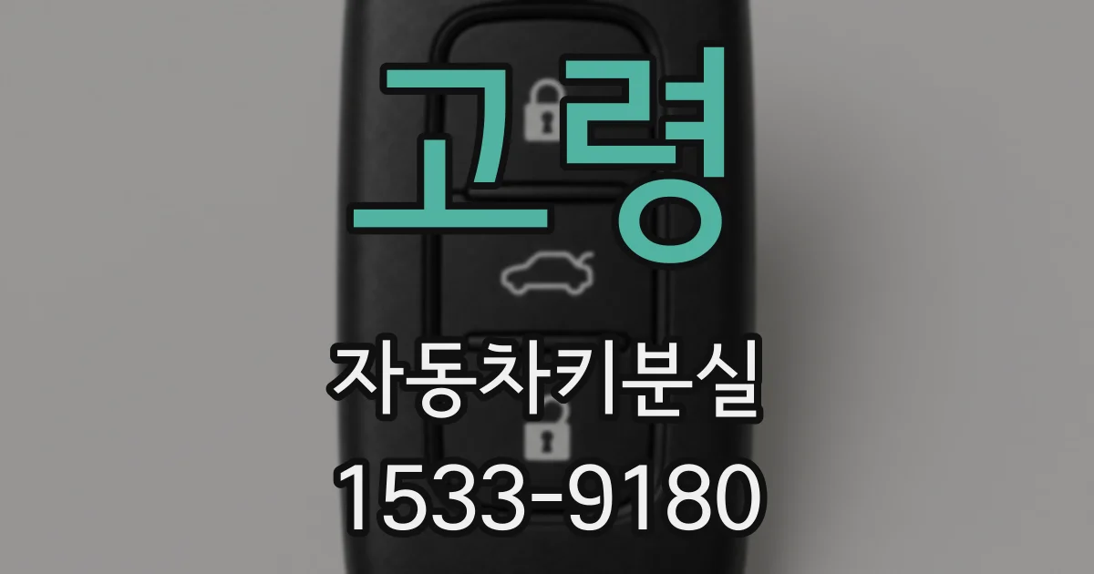 고령 자동차키분실
