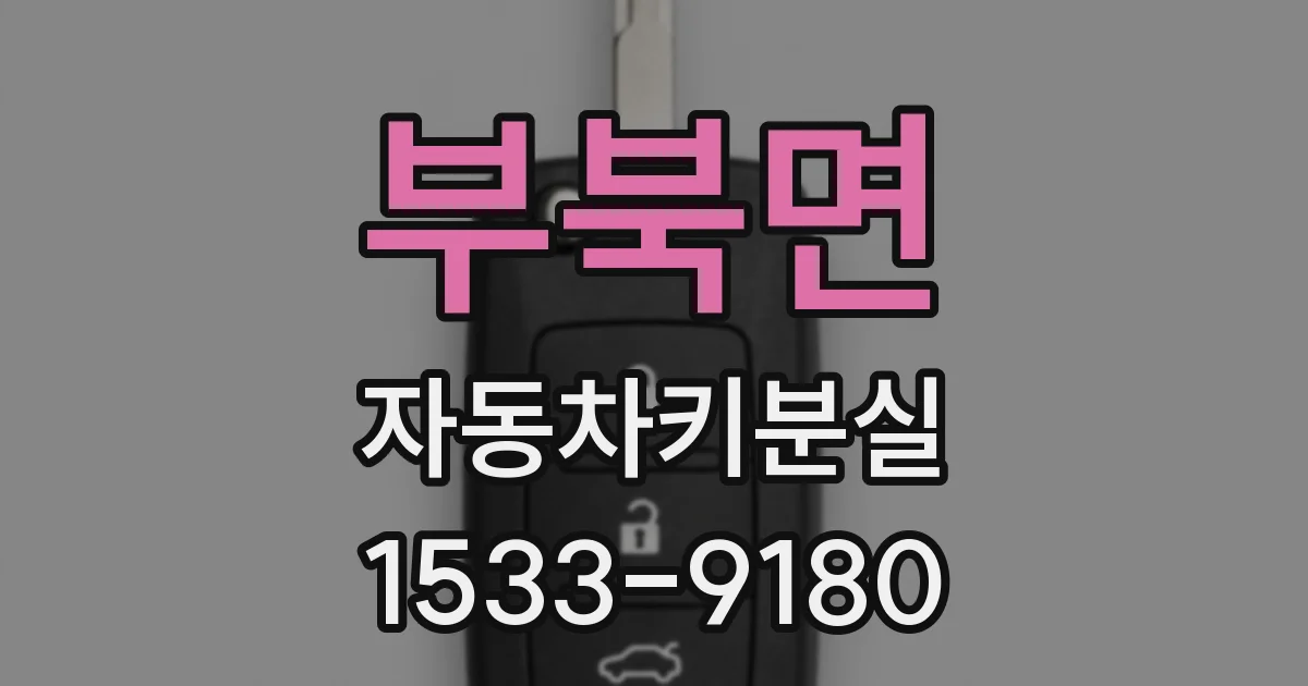 부북면 자동차키분실