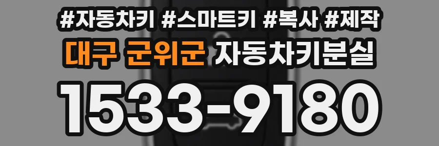 대구 군위군 자동차키분실