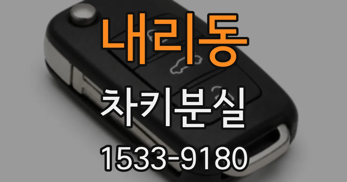 내리동 차키분실