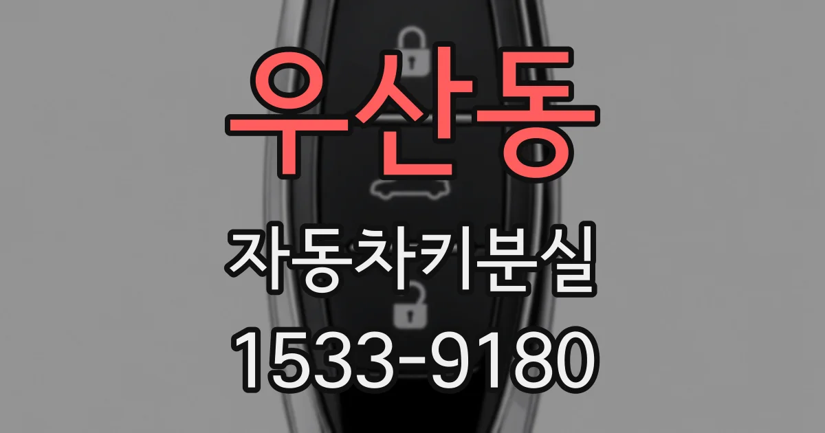 우산동 자동차키분실
