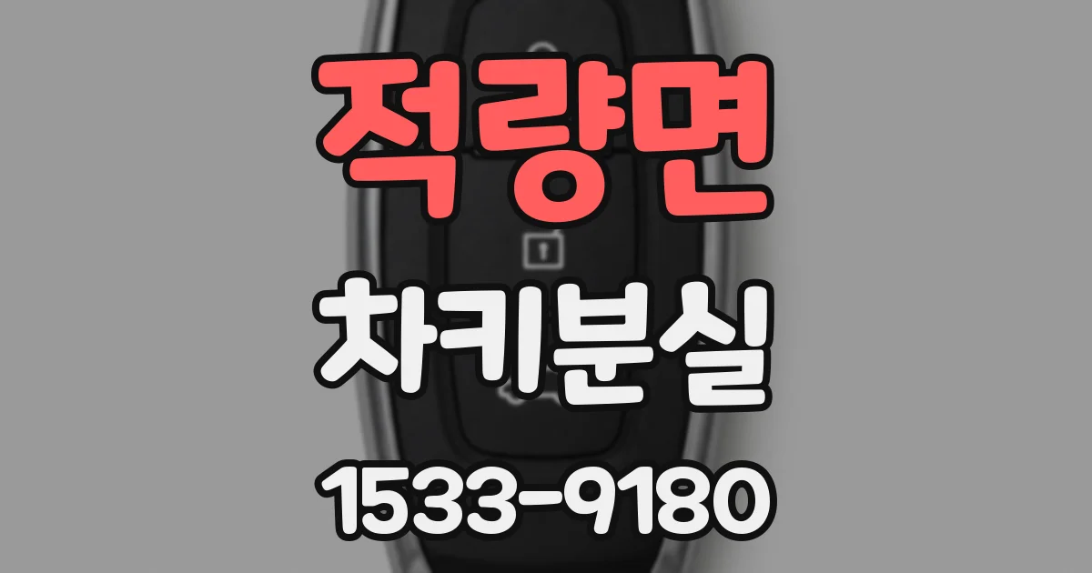 적량면 차키분실