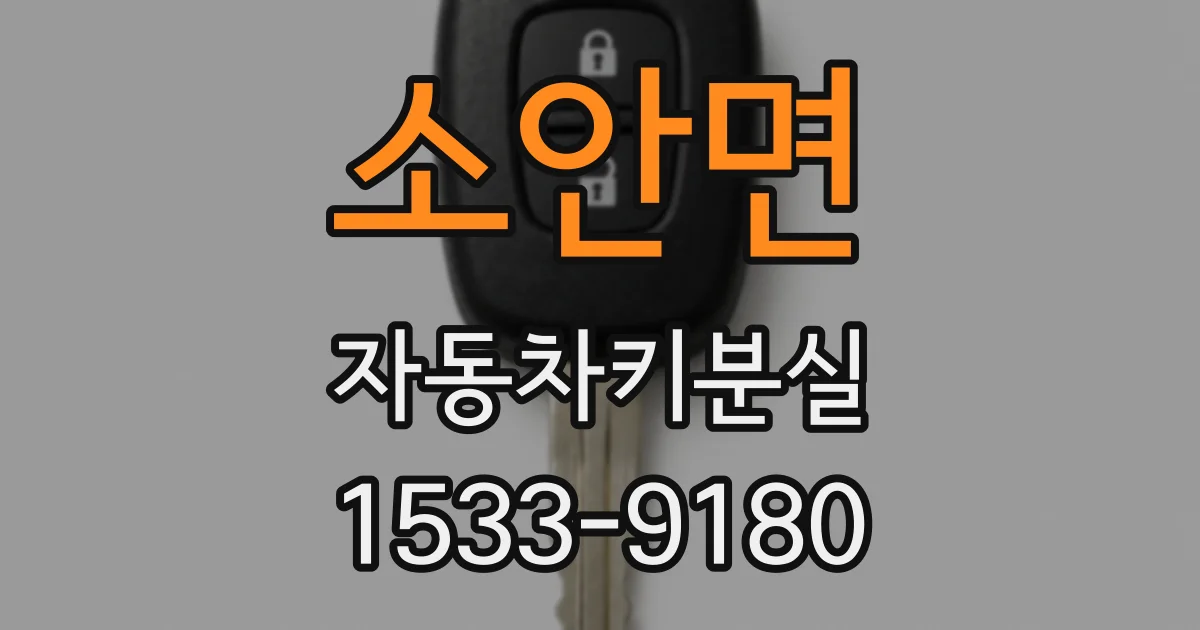 소안면 자동차키분실