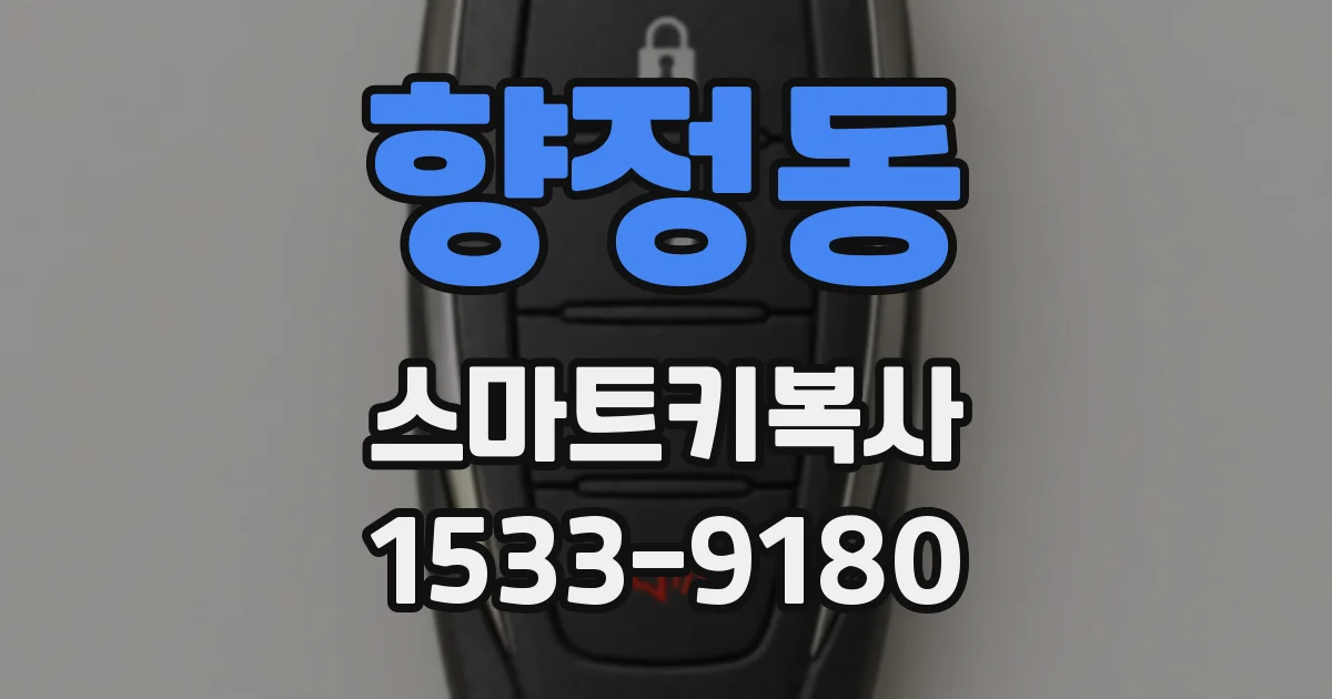 향정동 스마트키복사
