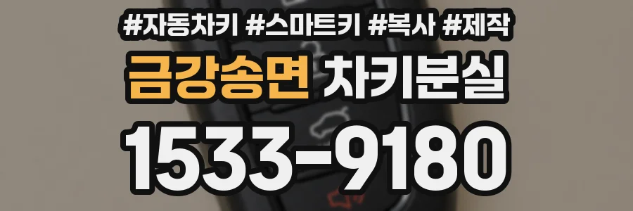 금강송면 차키분실