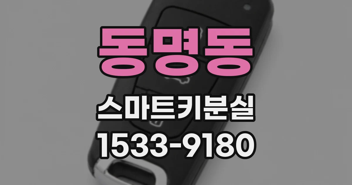 동명동 스마트키분실