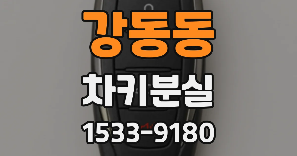 강동동 차키분실