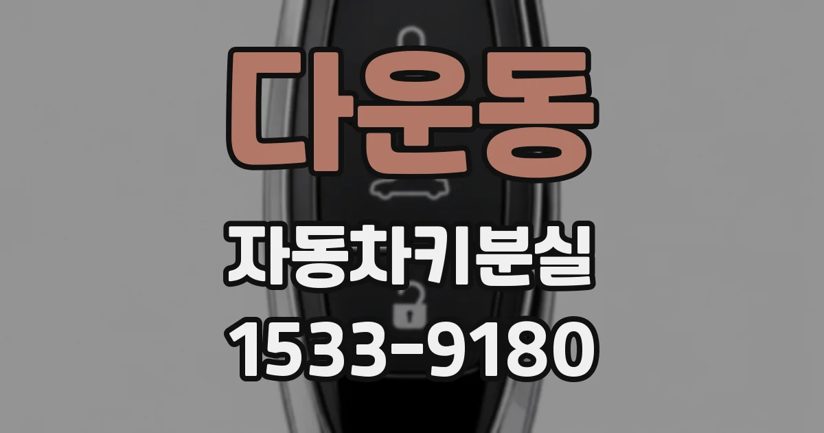 다운동 자동차키분실