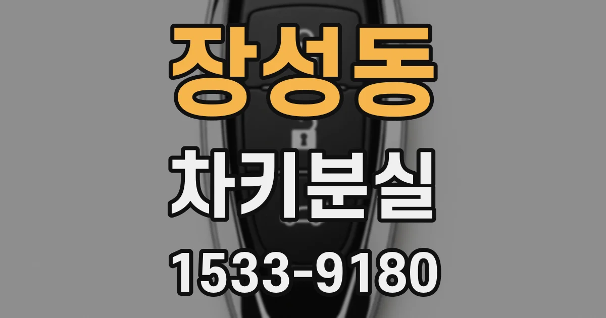 장성동 차키분실