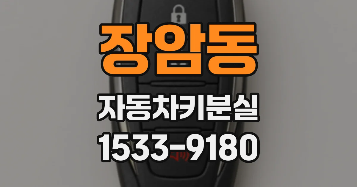 장암동 자동차키분실