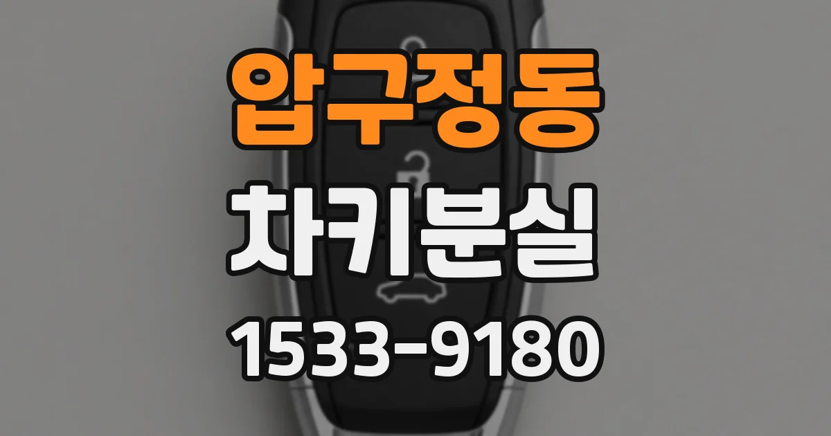압구정동 차키분실