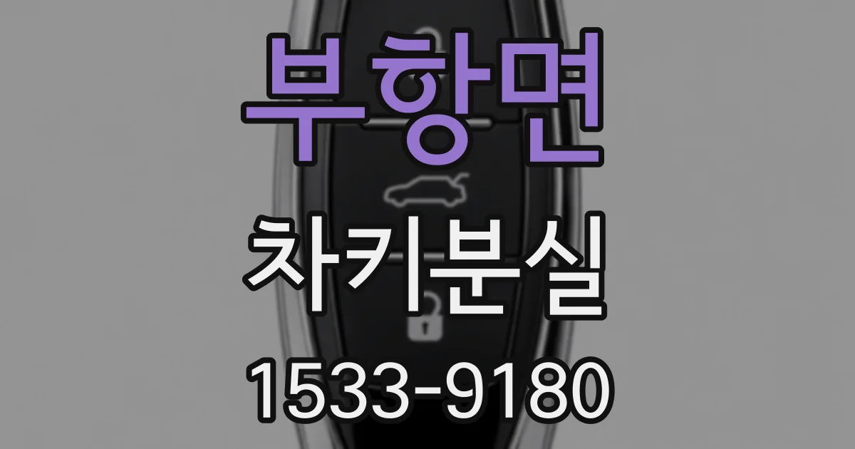 부항면 차키분실