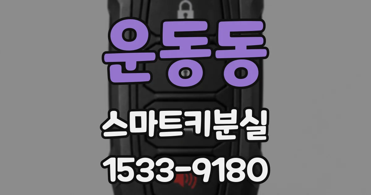 운동동 스마트키분실