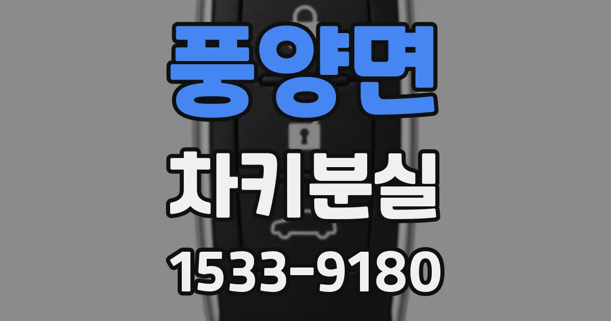 풍양면 차키분실