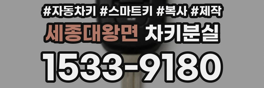 세종대왕면 차키분실
