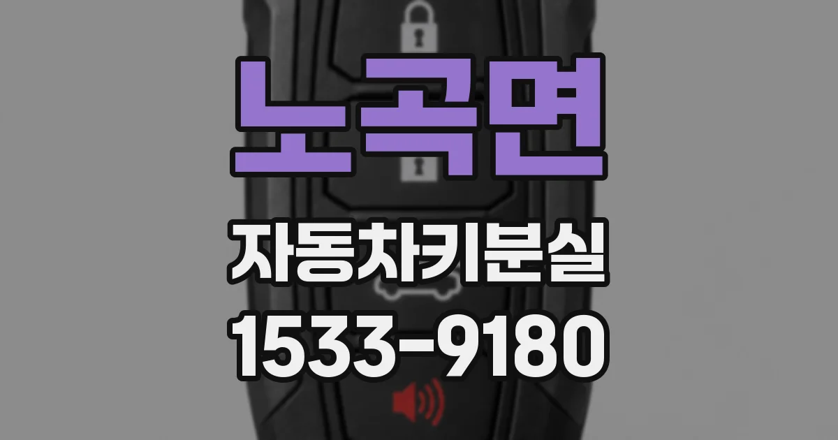 노곡면 자동차키분실