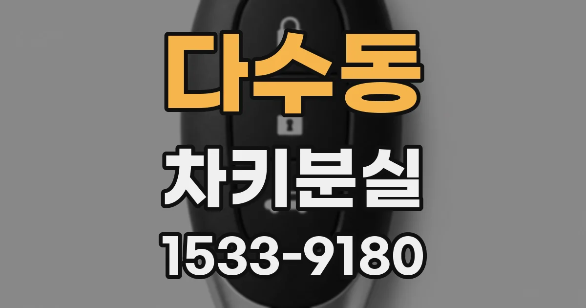 다수동 차키분실