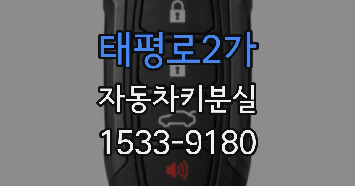 태평로2가 자동차키분실