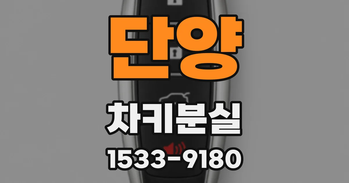단양 차키분실