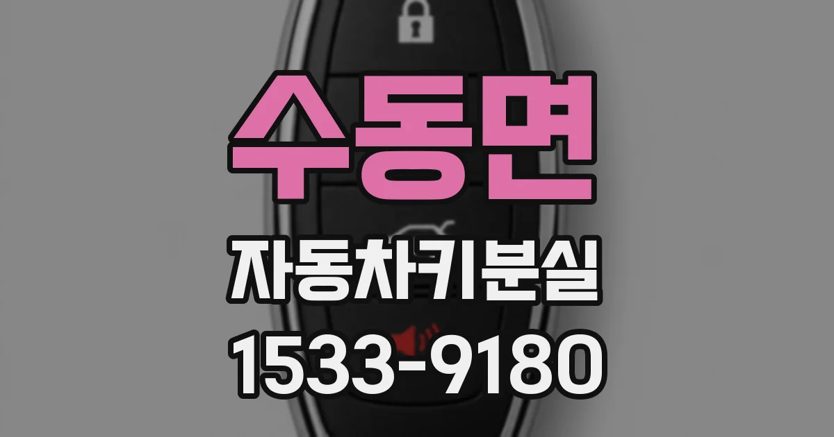 수동면 자동차키분실