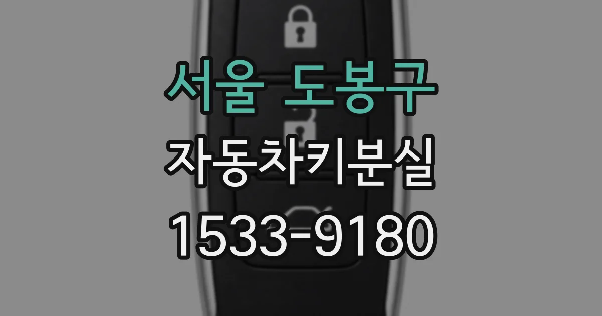 서울 도봉구 자동차키분실