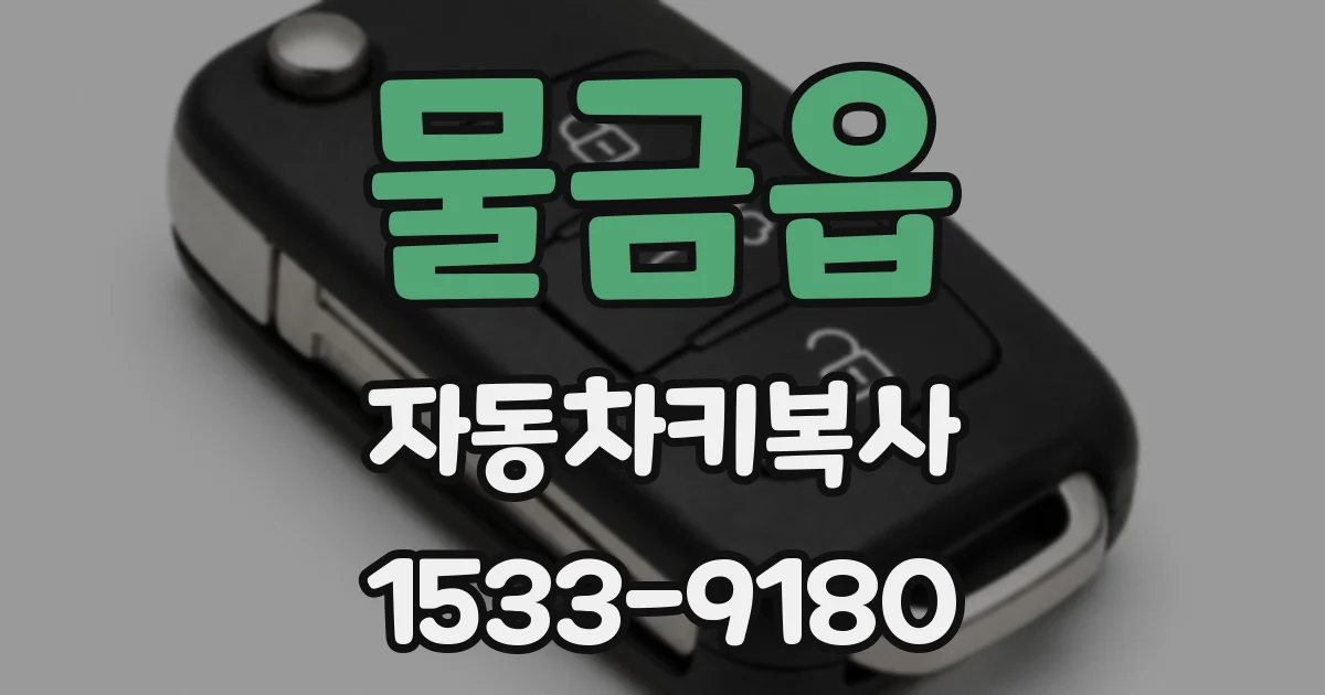 물금읍 자동차키복사