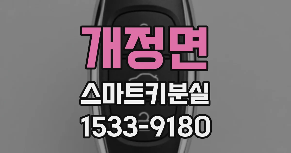 개정면 스마트키분실