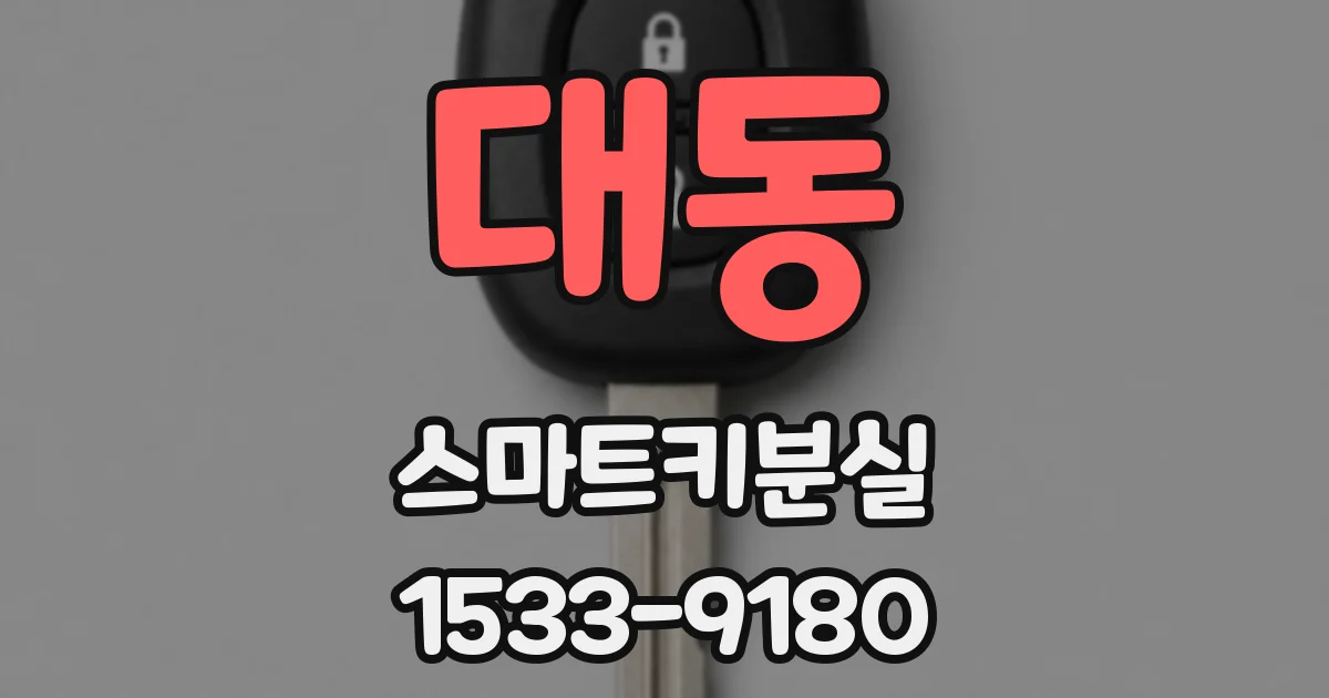 대동 스마트키분실