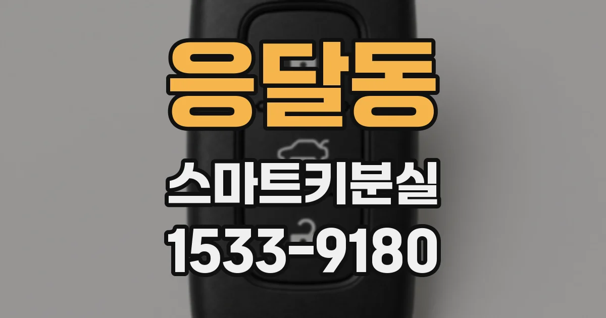 응달동 스마트키분실