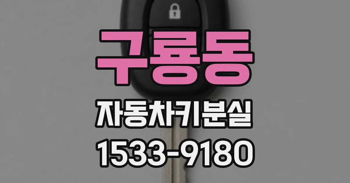 구룡동 자동차키분실