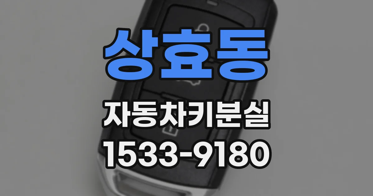 상효동 자동차키분실